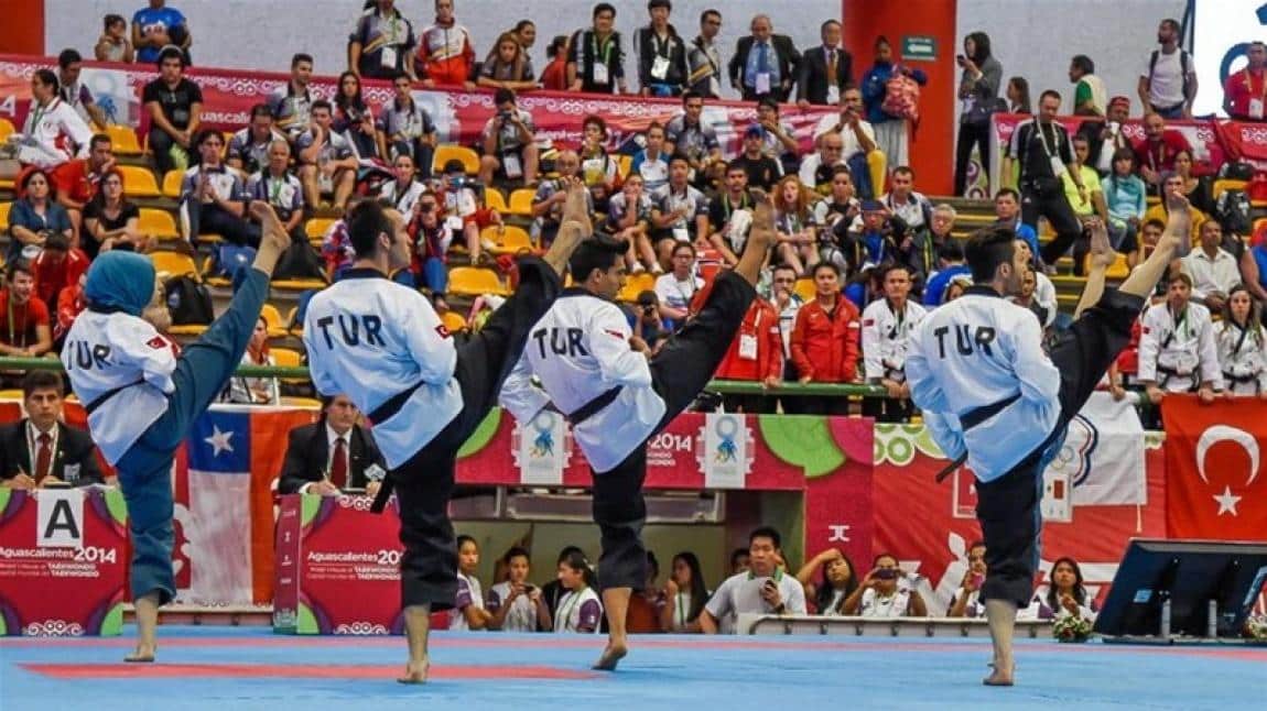 İstanbul Taekwondo Poomsae Müsabakaları